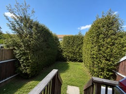 img_13